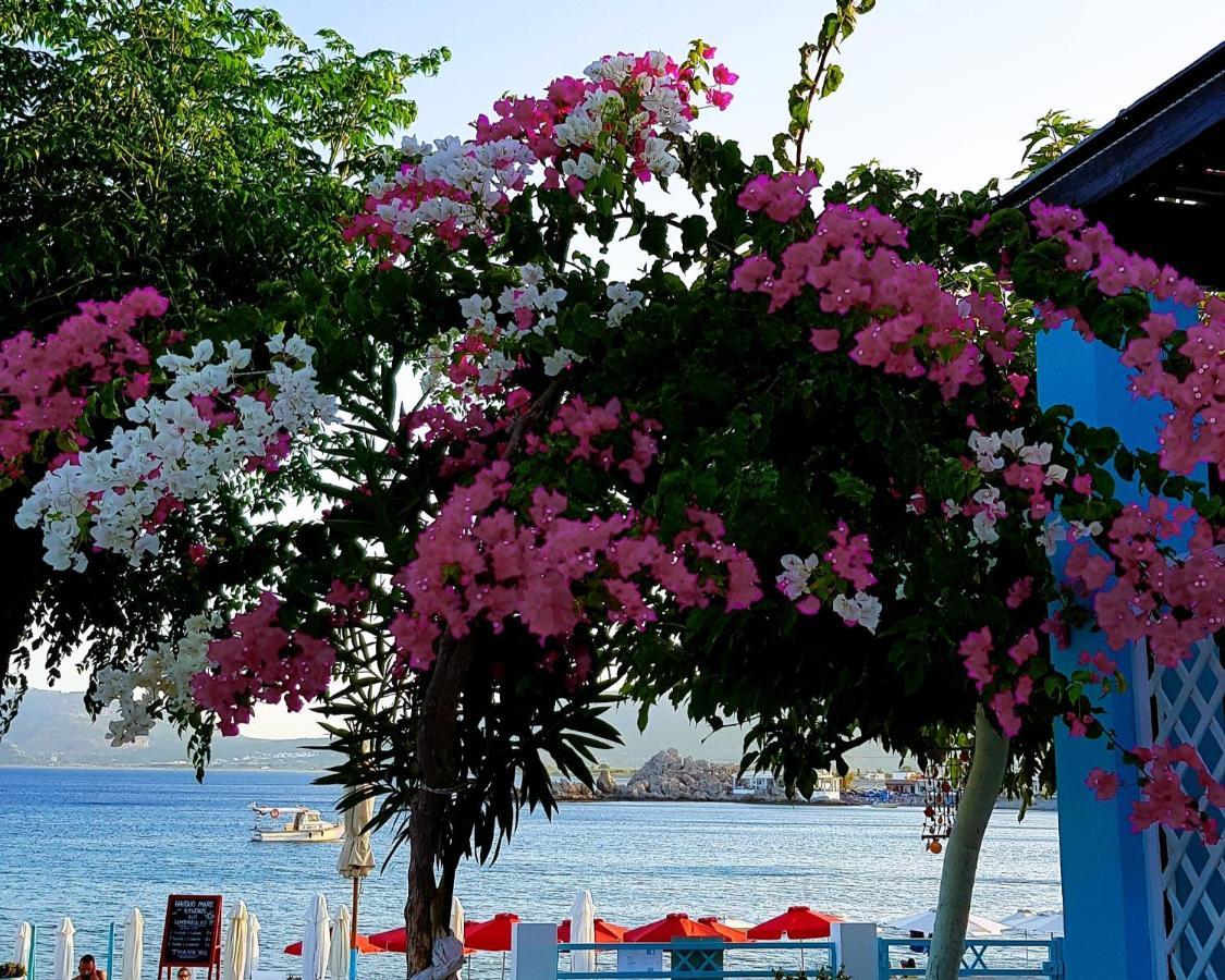Haraki Mare Studios Beach Front Kültér fotó